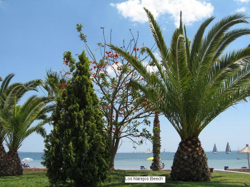 Beautiful 1 Bedroom Apartment In Roda, Los Alcazares. Larger Than Average. Dış mekan fotoğraf